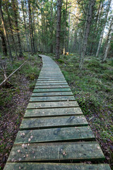 old wooden boardwalk covered with leaves in ancient forest