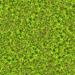 Obraz premium seamless background pattern texture made of leaves