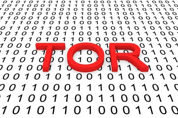 TOR in the form of binary code, 3D illustration © profit_image