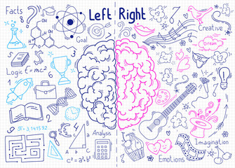 Concept of the human brain