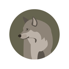 wolf vector illustration style Flat
