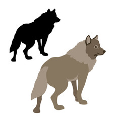 wolf vector illustration style Flat set