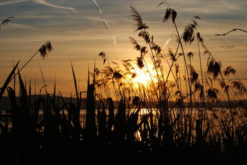 Obraz premium Sonnenuntergang