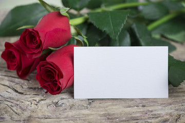 Red roses with blank space for lovely message for Valentine