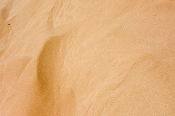 sand background