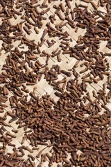 drying flower buds from clove spice