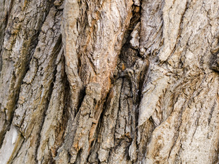 holz hintergrund textur