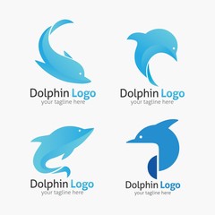 Dolphin logo and emblem design template