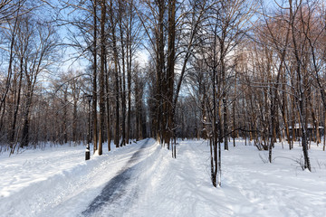 Obraz premium Sidewalks in the Ostankino Park. Moscow. Winter, frosty, Sunny day.
