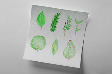 Watercolor painting of leaves on album sheet