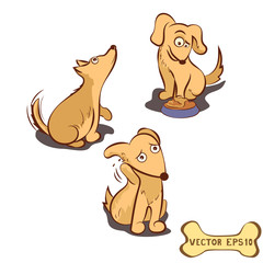 A set of vector characters dog. Asks the dog food, the dog itches
