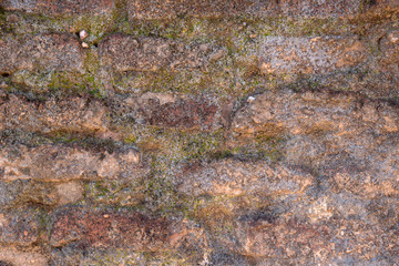 Plaster with abstract pattern