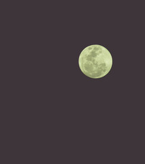 Fototapeta premium full moon on night very beautiful