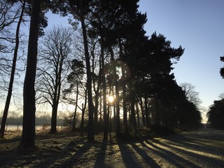 North Yorkshire, Frosty Woods, Morning