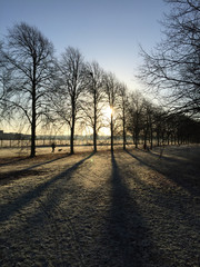 Frosty, man walking dog