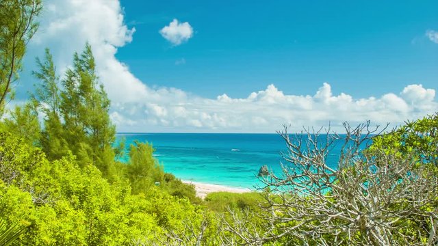 Panning Over a Secluded Private Beach in Tropical Bermuda Featuring Lush Indigenous Greenery, Turquoise Colored Water and a Blue Sky with Epic White Clouds on a Hot and Sunny Day