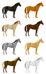 Obraz premium Color horse set