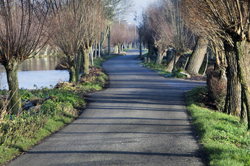 Country road