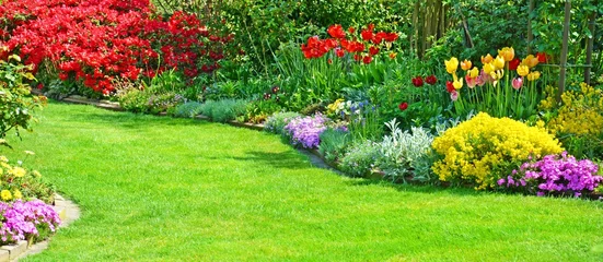 Poster Garten Panorama mit Rasenfläche, Azalee, Tulpen im Frühling © pia-pictures
