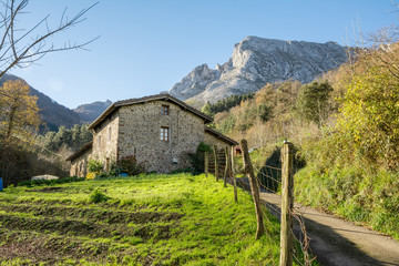 rustic landscape at biscay countryside, spain