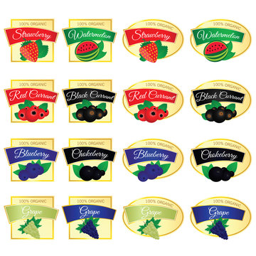 label of set fruit fresh food illustration in colorful