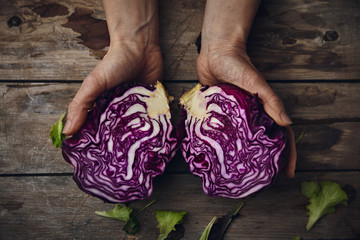 Close-up of woman hands holding red cabbage from domestic garden. 