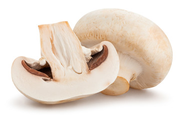 Fototapeta na wymiar mushroom