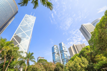 Obraz premium Skyline of modern skyscrapers and towers in the Central business district in a sunny day with blue sky seen from the Hong Kong Park, an oasis of peace in Hong Kong island.