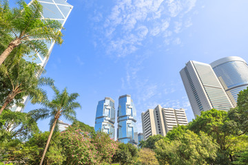 Obraz premium Hong Kong cityscape of modern skyscrapers and towers in the Central business district in a sunny day with blue sky seen from the Hong Kong Park, an green oasis of peace.