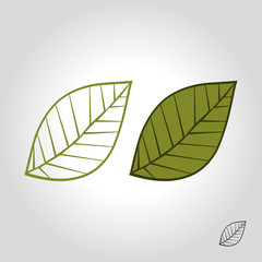 leaf logo, icon and symbol vector illustration