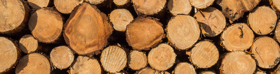 Wallpaper Holz