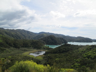 Fototapeta premium Abel Tasman National Park, New Zealand
