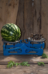Watermelon green to weigh on the old scale, ripe watermelon, food for sale, small business, agriculture,