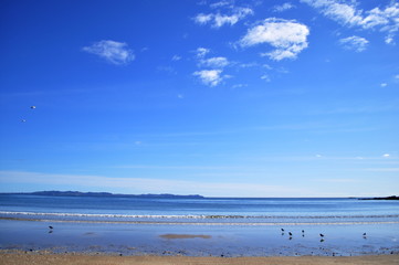 Beach in Paihia, New Zealand