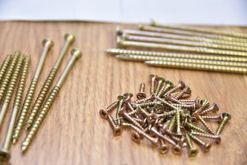 variedad de tornillos