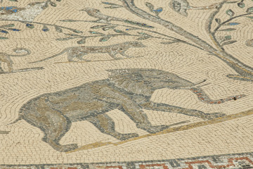 Mosaic with an elephant in Volubilis, Morocco