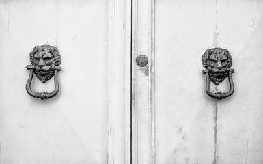  Lion head knockers on an old white wooden door in Florence,Tuscany, Italy (black and white)