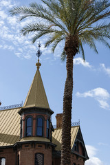 Palms Over House © Danny