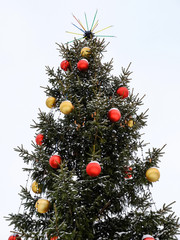 Christmas tree with garland and unusual star