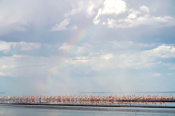 Natural park and Lake Latron in Tanzania, Africa