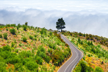 mountain route above the clouds in Tenerife Island, Spain
