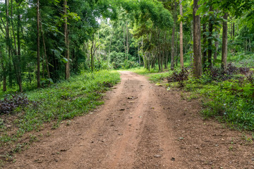Obraz premium Road with yellow line