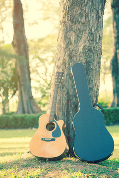 guitar and guitar case  standing with the tree in the park