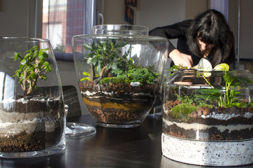 beau terrarium jardin d'intérieur