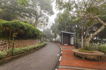 Foggy misty road indicating haunted