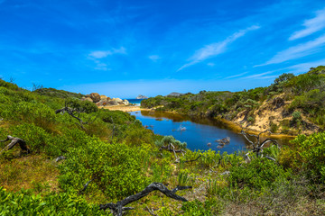 Obraz premium Top view of Squeaky Beach in Wilsons Promontory National Park, Victoria, Australia