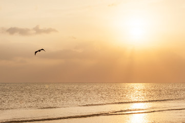 Sunset on pristine sandy beach of Fort Meyers, Florida
