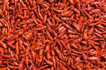 A Lot of dried chili as a background