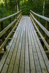 A beautiful wooden bridge in forest of Finland