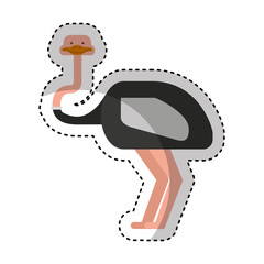 cute ostrich character icon vector illustration design
